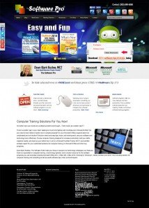 The Software Pro with Dawn Bjork Buzbee Custom WordPress Business Theme & Blog